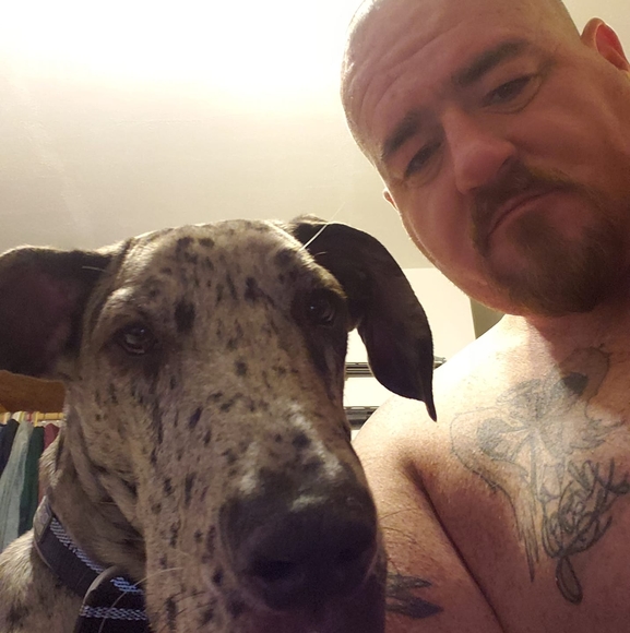 Meet your Posher, Jeremy - Picture 1 of 1